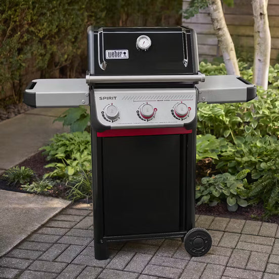 asador a gas para crear excelentes platos