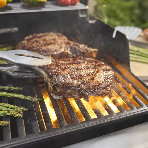 asador a gas para crear excelentes platos