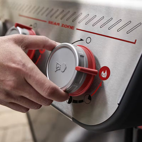 asador a gas para crear excelentes platos